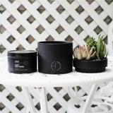 The Hidden Candle-Succulent & Candle-High Fashion Home