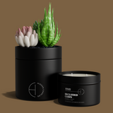 The Hidden Candle-Succulent & Candle-High Fashion Home