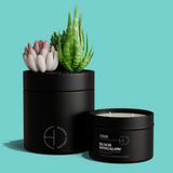The Hidden Candle-Succulent & Candle-High Fashion Home