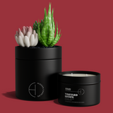 The Hidden Candle-Succulent & Candle-High Fashion Home