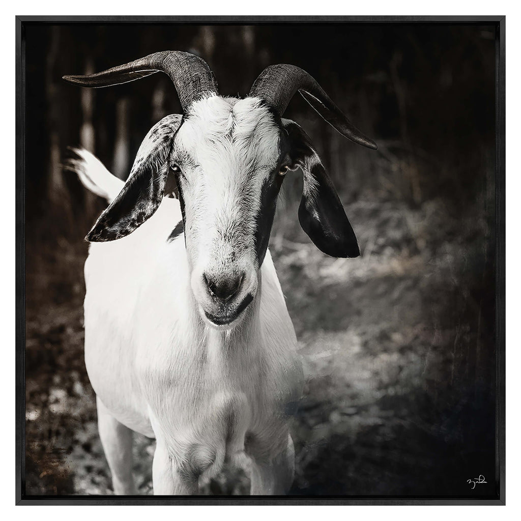 Intent Framed – High Fashion Home