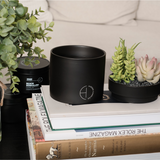 The Hidden Candle-Succulent & Candle-High Fashion Home