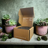 Beach Bungalow Candle Refill-Candle Tin-High Fashion Home