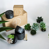 The Hidden Candle-Succulent & Candle-High Fashion Home