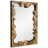 Abraham Mirror, Tamarind