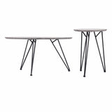 Kerris Coffee Table, Gray, Set of 2-Furniture - Accent Tables-High Fashion Home