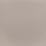 Desi Dining Chair, Beige, Set of 2-Furniture - Dining-High Fashion Home