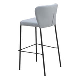 Linz Barstool, Gray, Set of 2-Furniture-High Fashion Home