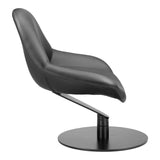 Poole Chair, Black-Furniture - Chair-High Fashion Home