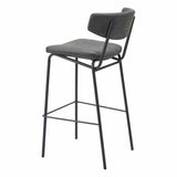 Charon Barstool, Vintage Black, Set of 2-Furniture-High Fashion Home