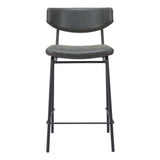 Charon Counter Stool, Vintage Black, Set of 2-Furniture-High Fashion Home