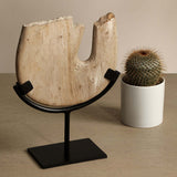 Insight Sculpture, Natural