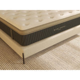 Hybrid Euro-Top Mattress by Becki Owens Home-Furniture - Bedroom-High Fashion Home