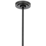 Artemis Single Pendant, Oil Rubbed Bronze/Champagne-Lighting-High Fashion Home