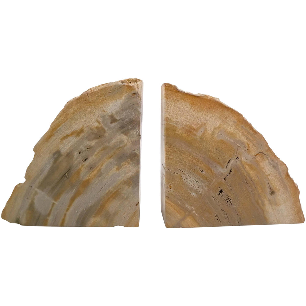 Petrified Wood Bookends, Natural, Set of 2