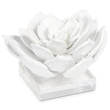 Succulent Sculpture 1, White-Accessories-High Fashion Home