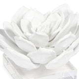 Succulent Sculpture 1, White-Accessories-High Fashion Home