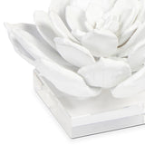 Succulent Sculpture 1, White-Accessories-High Fashion Home