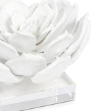 Succulent Sculpture 1, White-Accessories-High Fashion Home