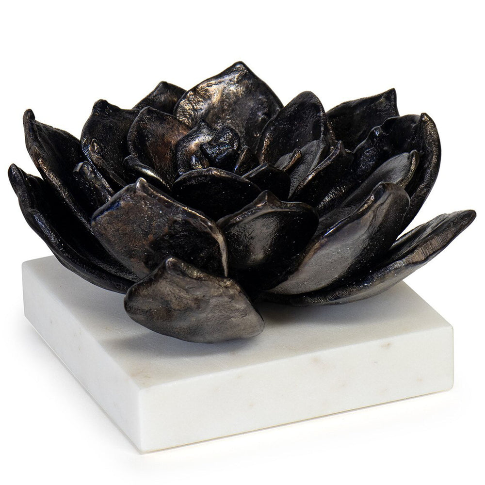 Succulent Sculpture 1, Black-Accessories-High Fashion Home