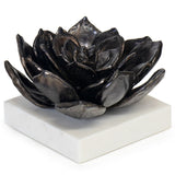 Succulent Sculpture 1, Black-Accessories-High Fashion Home