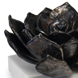 Succulent Sculpture 1, Black-Accessories-High Fashion Home