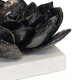 Succulent Sculpture 1, Black-Accessories-High Fashion Home