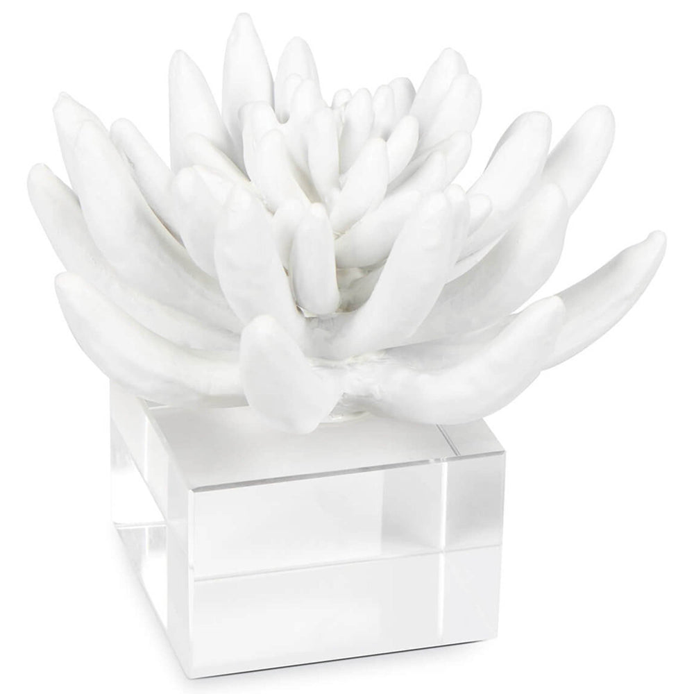 Succulent Sculpture 2, White-Accessories-High Fashion Home