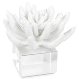 Succulent Sculpture 2, White-Accessories-High Fashion Home