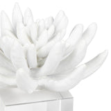 Succulent Sculpture 2, White-Accessories-High Fashion Home