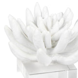 Succulent Sculpture 2, White-Accessories-High Fashion Home