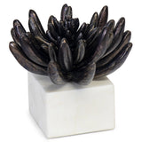 Succulent Sculpture 2, Black-Accessories-High Fashion Home