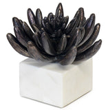 Succulent Sculpture 2, Black-Accessories-High Fashion Home