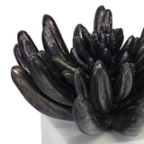 Succulent Sculpture 2, Black-Accessories-High Fashion Home