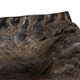 Brock Horn Dish, Natural-Accessories-High Fashion Home