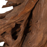 Horse Head, Natural
