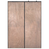 Bane Double Bookshelf W/ Ladder, Smoked Pine by Four Hands — BCK_1