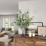 Eucalyptus in Large Rowan Vase, Clear-Accessories-High Fashion Home