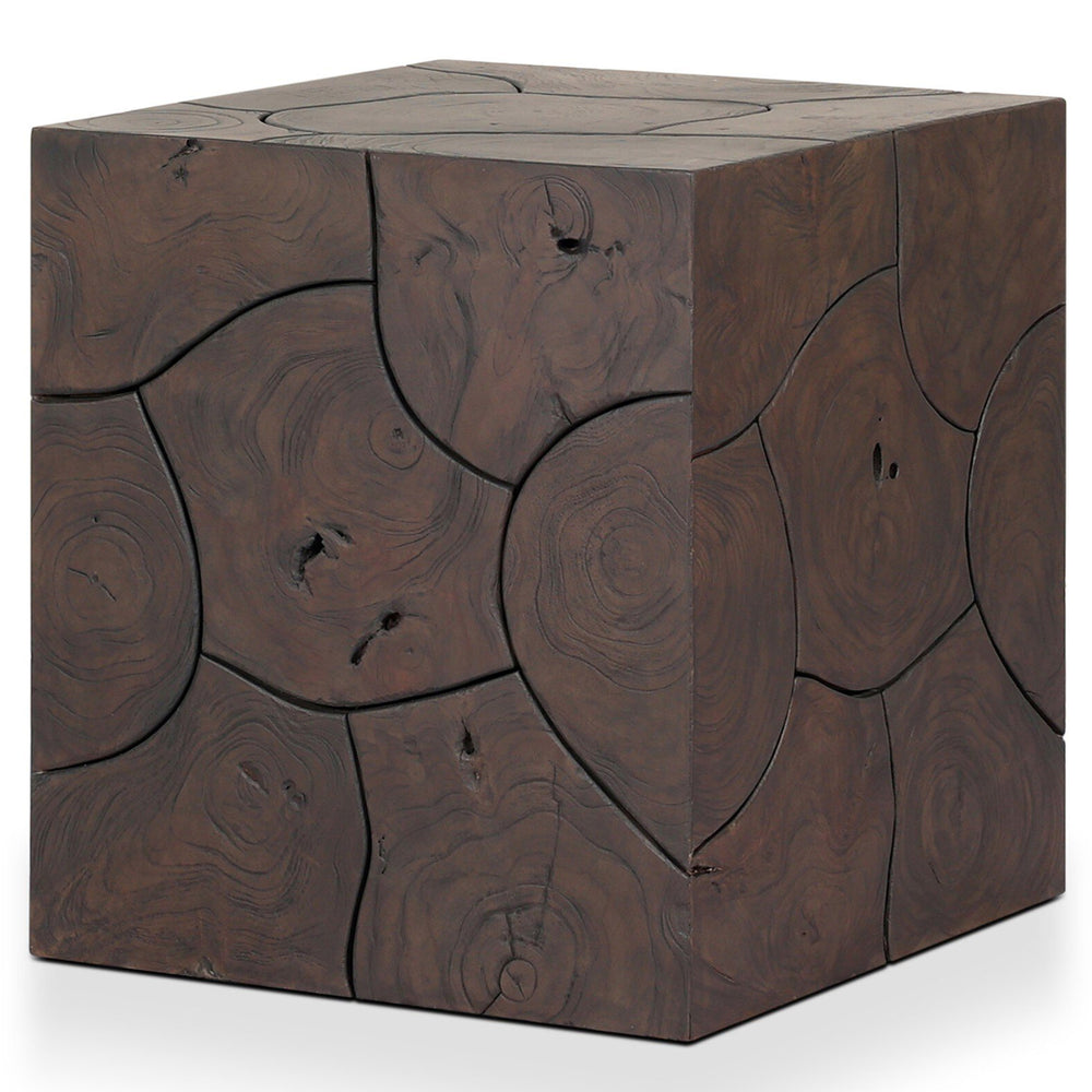 Tomlin Outdoor End Table, Saddle Brown by Four Hands