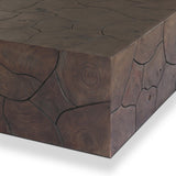 Tomlin Outdoor Coffee Table, Saddle Brown by Four Hands