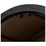 Tolle Panel Door Cabinet, Drifted Oak Veneer by Four Hands — DET_1