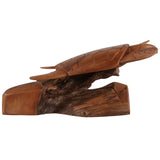 Vera Decor, Brown