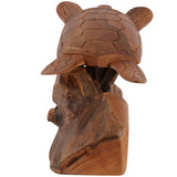 Vera Decor, Brown