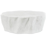 Woods Edge Coffee Table by Uttermost