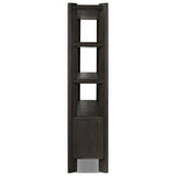 Orwin Wide Bookshelf, Smoked Black Oak by Four Hands — SID_1