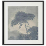 Canopy by Chelsea Fly, Black Maple by Four Hands