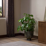 Avenza Planter, Polished Dark Green by Four Hands