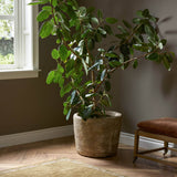 Aziel Planter, Weathered Rustic by Four Hands