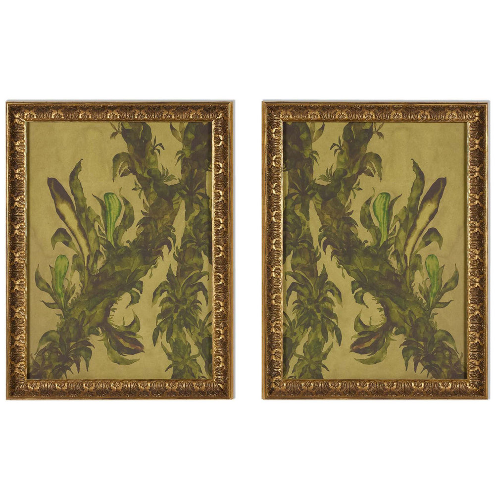 Epiphytes Diptych by Molly Franken by Four Hands