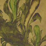 Epiphytes Diptych by Molly Franken by Four Hands